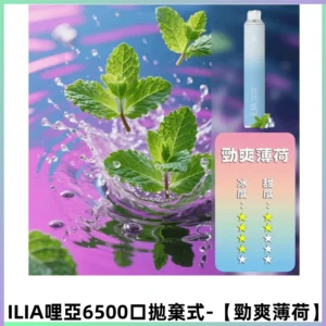ILIA BAR 4哩啞一次性大容量6500Puffs拋棄式電子煙【勁爽薄荷】