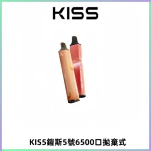 KIS5鎧斯5號一次性6500口磁吸式拋棄式電子煙#自由混搭#